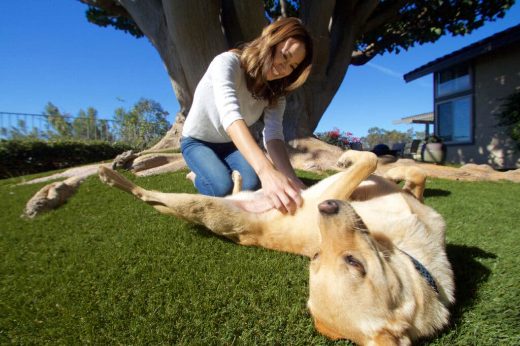 Woman playing with dog on artificial grass