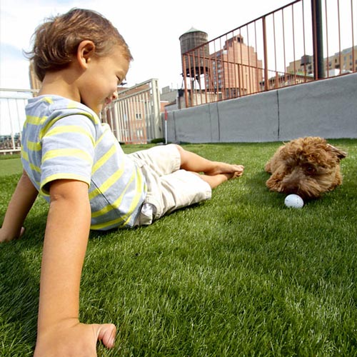 Kid playing with dog on artificial grass